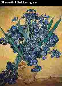 Vincent Van Gogh Still Life with Irises